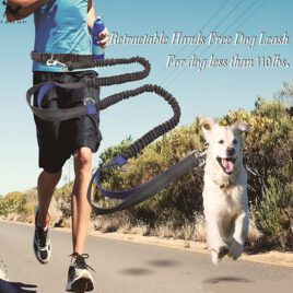 Multi-function running dog leash, double elastic